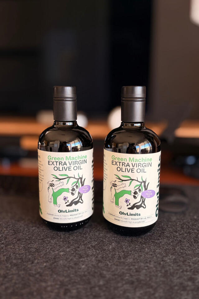 MUN Centenarians: Model United Nations Debate Event